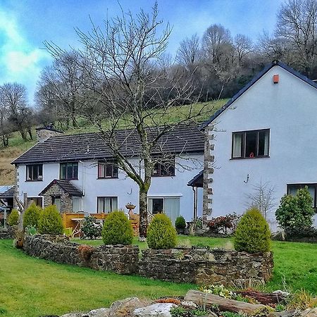 Neuadd Wen Guest House Кармартен Экстерьер фото