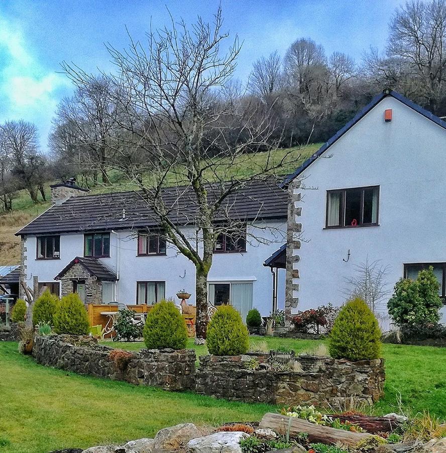 Neuadd Wen Guest House Кармартен Экстерьер фото