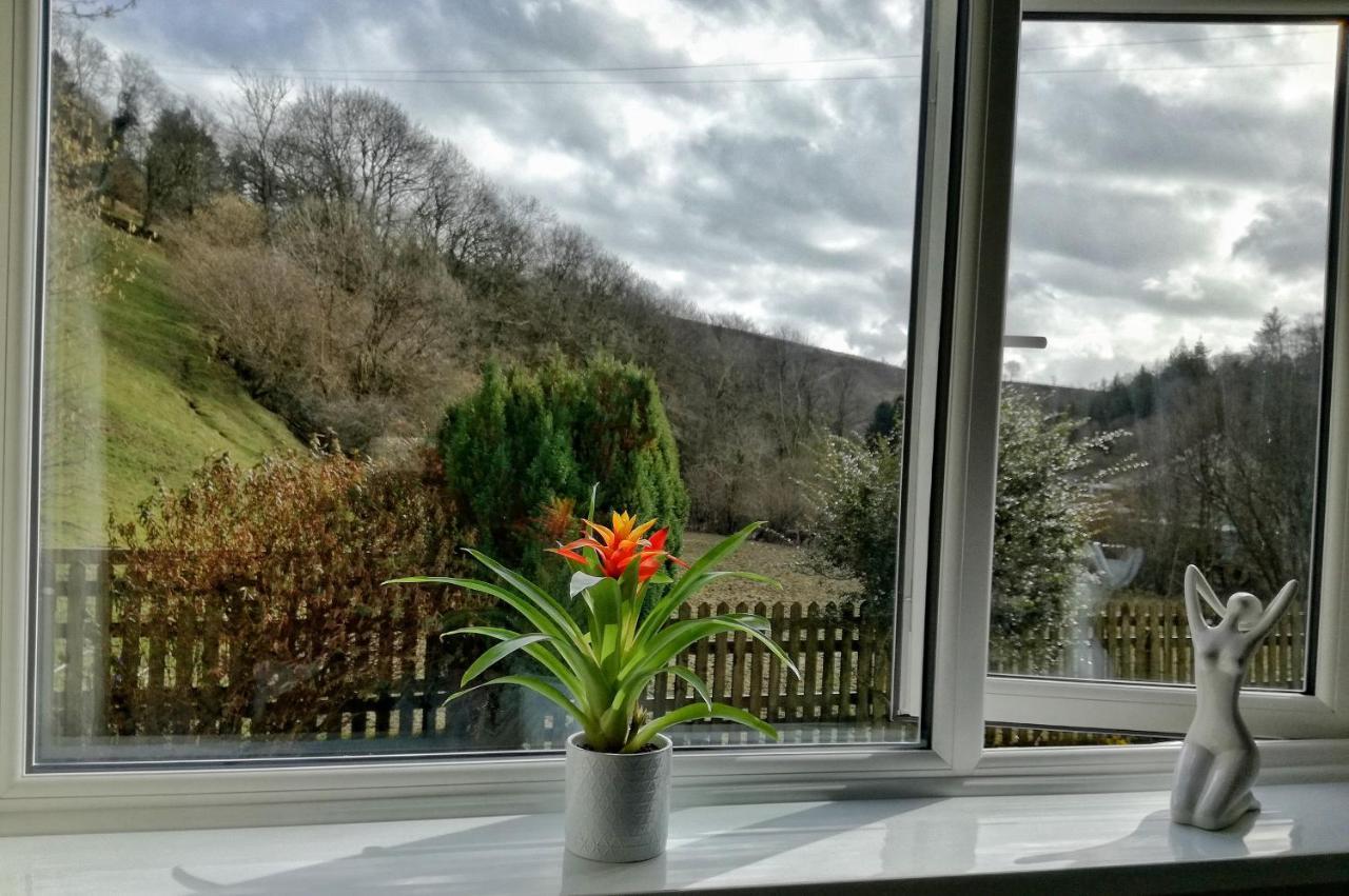 Neuadd Wen Guest House Кармартен Экстерьер фото